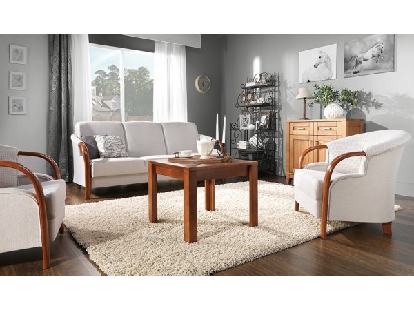 Křeslo s dřevěnými područkami MODEL D