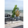 Umělá palma Areca, zelená, 64×64×175 cm – House Nordic
