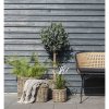 Bogor koše, přírodní kubu rattan, sada 4 ks – House Nordic
