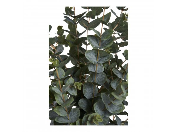 Umělá rostlina Eucalyptus, zelená, 120×46×36 cm – House Nordic