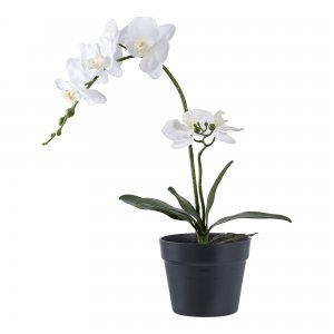 Umělá orchidej, zeleno-bílá, výška 49 cm – House Nordic