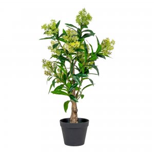 Umělá skimmie, zelená, 75 cm – House Nordic