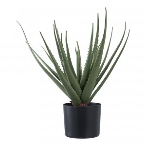 Umělá rostlina Aloe Vera, zelená, výška 51 cm – House Nordic