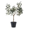 Umělý olivovník, zelený, výška 61 cm – House Nordic