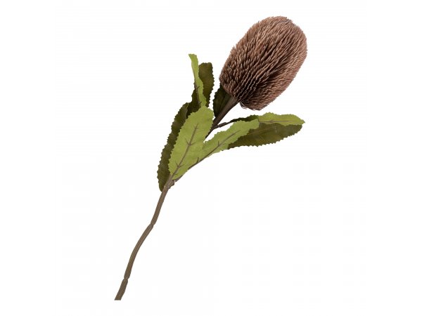 Umělá kytice King Protea, bordeaux mix, 65 cm – House Nordic