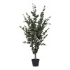 Umělá rostlina Eucalyptus, zelená, 120×46×36 cm – House Nordic