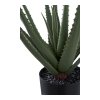 Umělá rostlina Aloe Vera, zelená, výška 51 cm – House Nordic