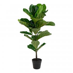 Umělá rostlina Fiddle Leaf, zelená, 46×36×100 cm – House Nordic