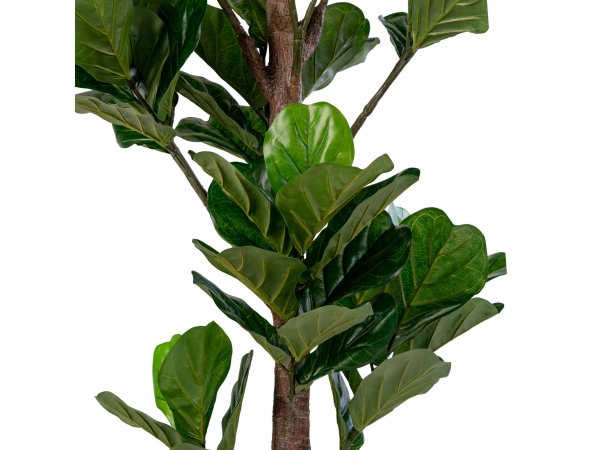 Umělá rostlina Fiddle Leaf, zelená, 93×81×190 cm – House Nordic