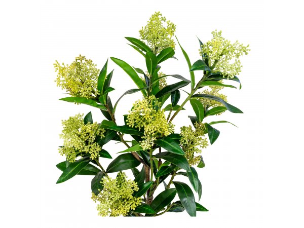 Umělá skimmie, zelená, 75 cm – House Nordic