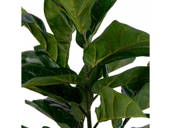 Umělá rostlina Fiddle Leaf, zelená, 46×36×100 cm – House Nordic