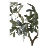 Umělý olivovník, zelený, výška 61 cm – House Nordic
