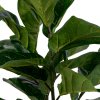 Umělá rostlina Fiddle Leaf, zelená, 46×36×100 cm – House Nordic