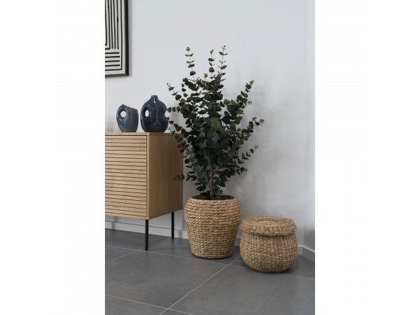 Umělá rostlina Eucalyptus, zelená, 120×46×36 cm – House Nordic