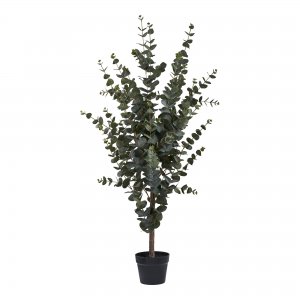 Umělá rostlina Eucalyptus, zelená, 120×46×36 cm – House Nordic