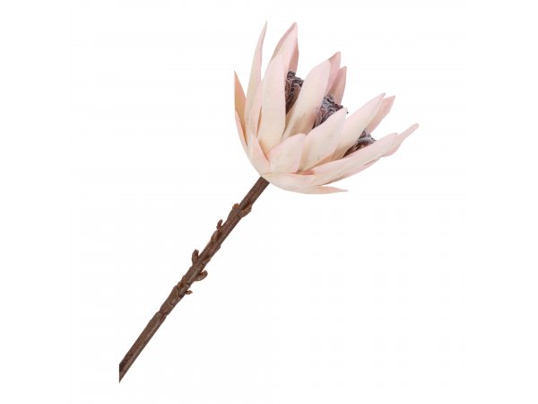 Umělá kytice King Protea, bordeaux mix, 65 cm – House Nordic
