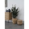 Umělá rostlina Eucalyptus, zelená, 120×46×36 cm – House Nordic
