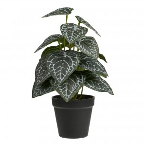 Umělá rostlina, zelená, 33 cm – House Nordic