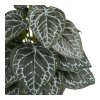 Umělá rostlina, zelená, 33 cm – House Nordic