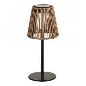 Lampa Salford