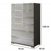 Komoda se zásuvkami SHANGHAI 2 - 75 cm, Havanna / sklo Kieselgrau