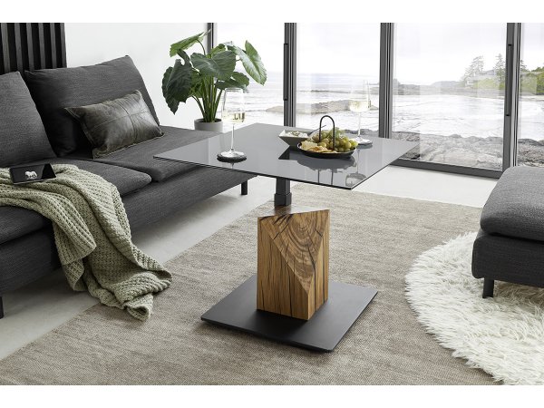 Konferenční stolek BALSTA 1 šedé sklo/ dub masiv olejovaný