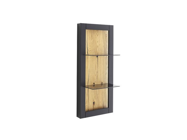 Panel s policemi CESENA (typ 50) grafit/dub divoký