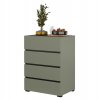 Nábytek do předsíně CROSS Pine green/černá