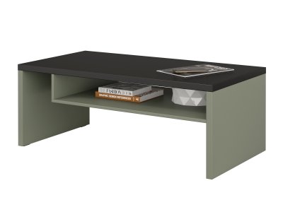 Konferenční stolek CROSS (typ 99) Pine green/černá