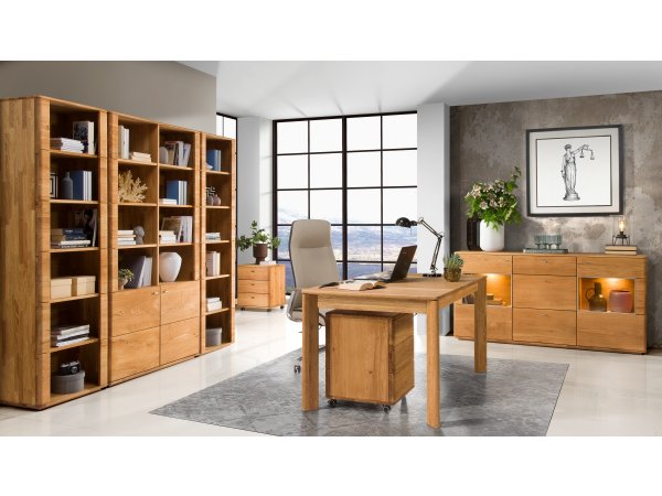 Dubová knihovna z masivu DALLAS dub olejovaný (typ 14)