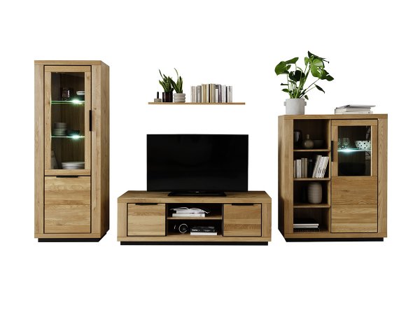 Nábytek do obývacího pokoje GRENO 3 dub masiv divoký