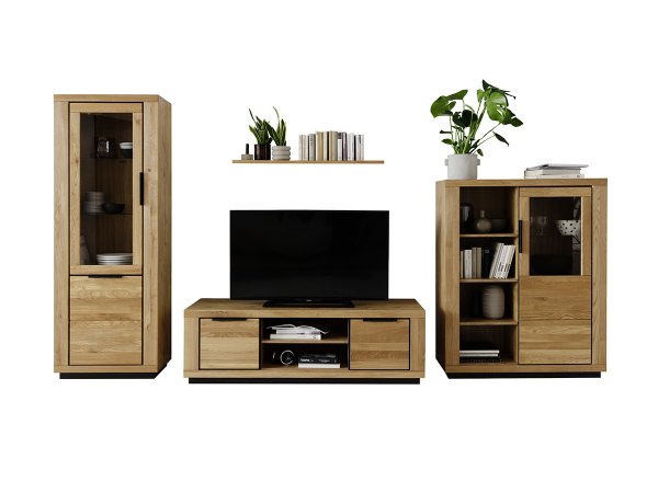 Nábytek do obývacího pokoje GRENO 3 dub masiv divoký