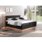 Postel boxspring s úložným prostorem KOLETA dub masiv