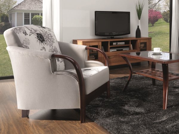 Křeslo s dřevěnými područkami MODEL E