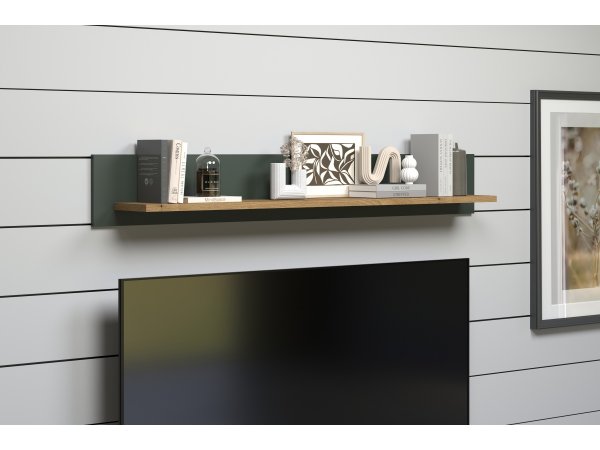 Police do obývacího pokoje STANTON (typ 220948104) tmavě zelená/dub Evoke