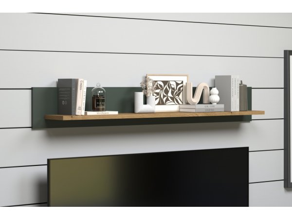 Police do obývacího pokoje STANTON (typ 220948104) tmavě zelená/dub Evoke