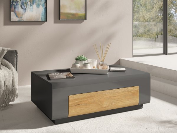 Vysoká vitrína TOLEDO dub Grandson/šedý lesk