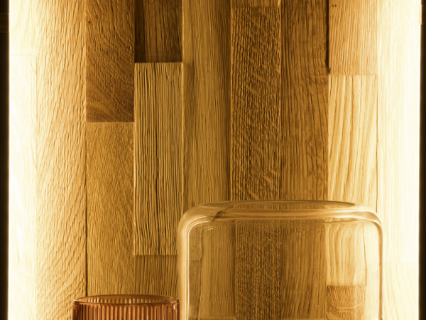 Dubová obývací stěna VIGO C