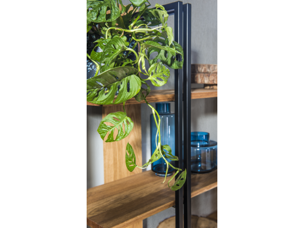 Dubový regál VIGO 55